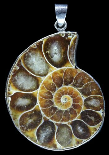 Fossil Ammonite Pendant - Million Years Old #89831